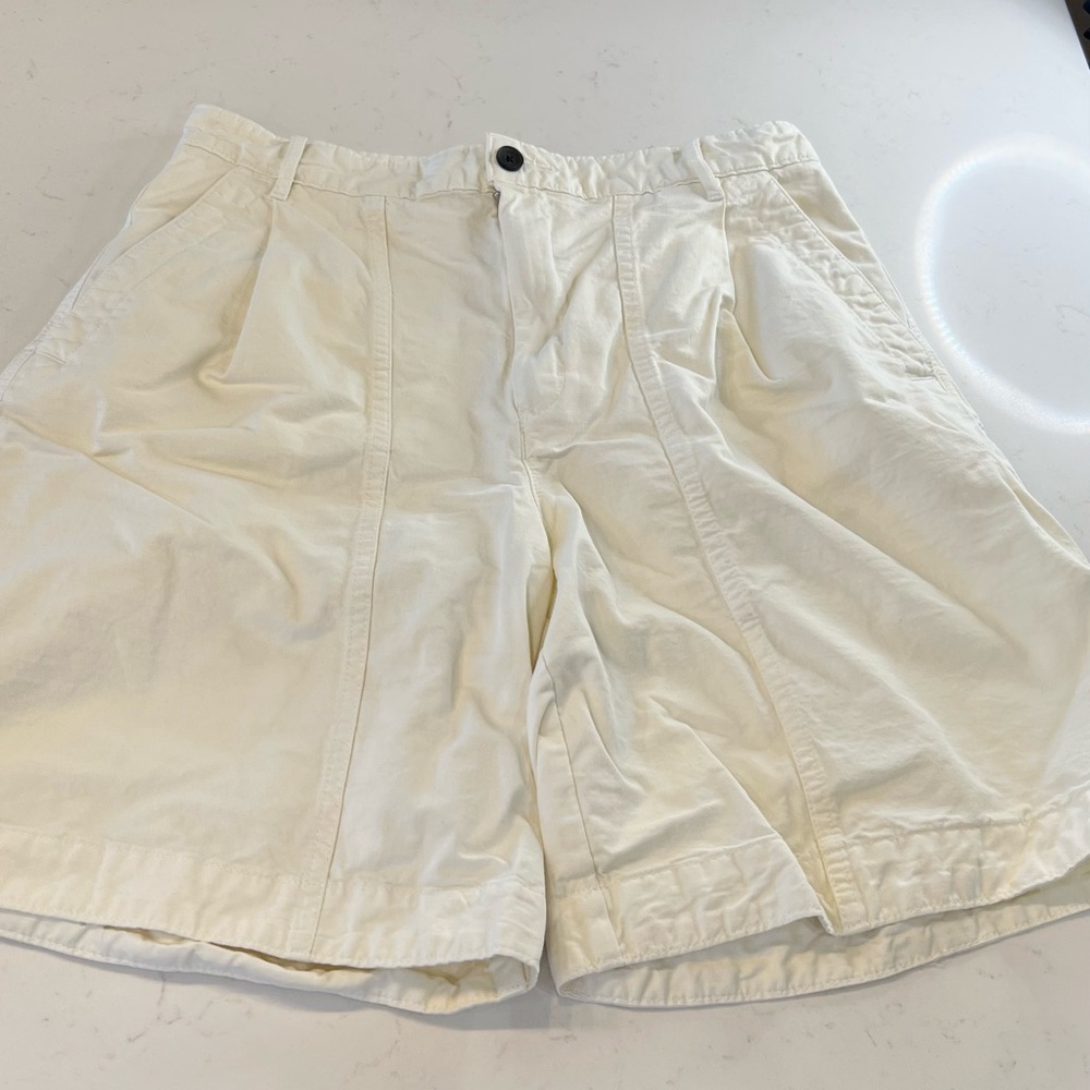 The Tourist Short by Everlane, Size 10